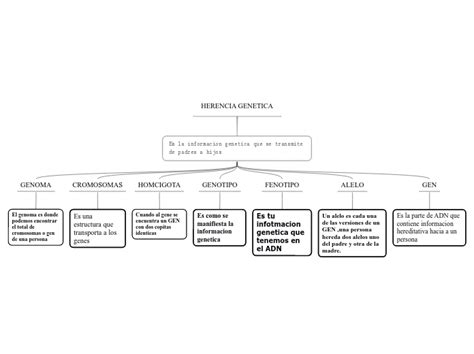 HERENCIA GENETICA Mind Map