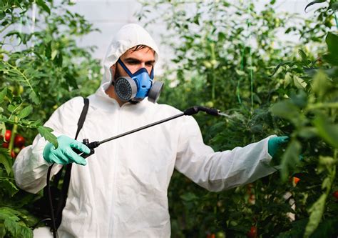 Plaguicidas Efectos Da Inos En El Medio Ambiente Y La Salud