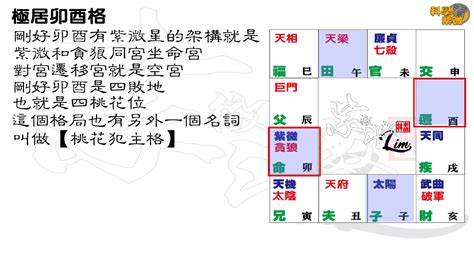 极居卯酉格 桃花犯主格 凶局 紫微贪狼 欲望 格局篇 科學看紫微