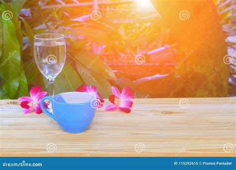 Taza De Café Y Vidrio De Agua Con Hermoso Púrpura De La Orquídea De La