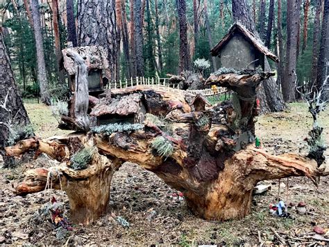 San Leonardo Inaugura Su Bosque M Gico Un Nuevo Punto De Inter S En La