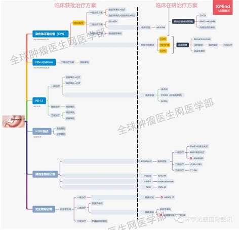 胃癌新药2021年胃癌靶向药物和胃癌免疫药pd 1pd L1及胃癌治疗最新进展大盘点 无癌家园