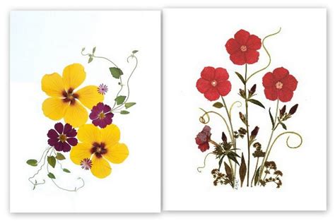 Pressed Flower Cards 6 Assorted Printed Notecards Gift - Etsy