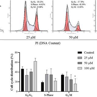 Quercetin Induced Apoptosis Of Hec A Cells A Apoptotic Assay By Dapi