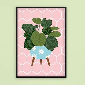 Pink Tile Daisy Pot Retro Calathea Plant Botanical Print Unframed A6 A5