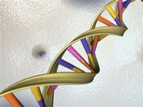 Scientists Propose Project To Build Synthetic Human Genome Technology