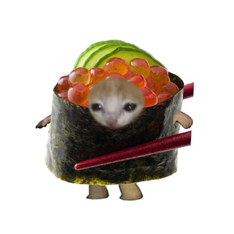 The Sushi Cat