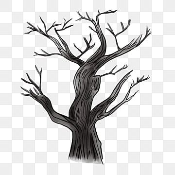 Leafless Tree Png Clipart