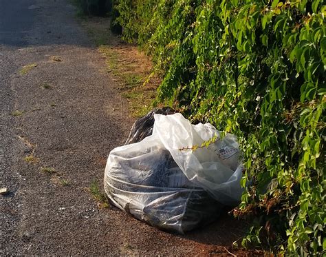 Le Foto Del Giorno Ardea Rifiuti E Cattivi Odori In Via Delle Giunchiglie