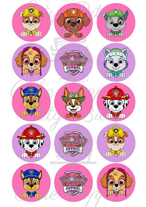 Paw Patrol Girl Pink Purple Cupcake Toppers Itty Bitty Cake Toppers