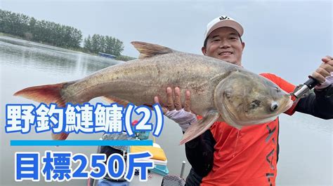 【鄧剛釣魚】戶外野釣！ 25條250斤！今天能完成嗎？ 【天元鄧剛】 Youtube