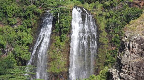 Wailua River Cruise And Fern Grotto Tour From Nawiliwili Disney Cruise Line