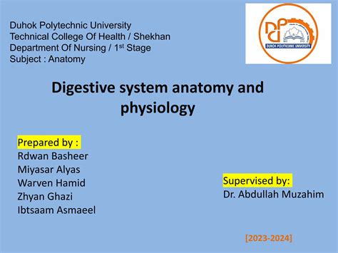 Digestive System Pptpdf Ppt