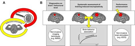 Frontiers Neurodiagnostics In Sports Investigating The Athletes