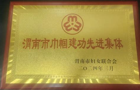 喜报！渭南中院审管办获评“全市巾帼先进集体”澎湃号·政务澎湃新闻 The Paper