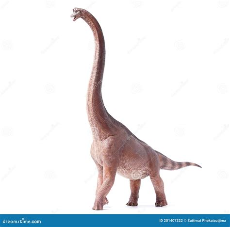 Giraffatitan Brachiosaurus Is A Herbivore Genus With A Long Neck And A Large Body Dinosaur Stock