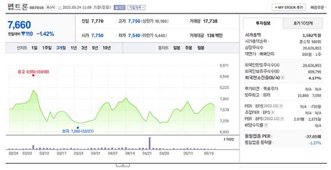 주가 전망 분석과 기업체 상세 정보