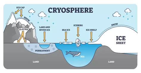 Cryosphere - Assignment Point