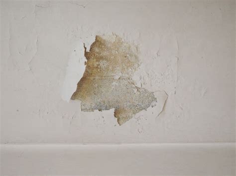 Repairing A Water-Damaged Ceiling - All About Insurance