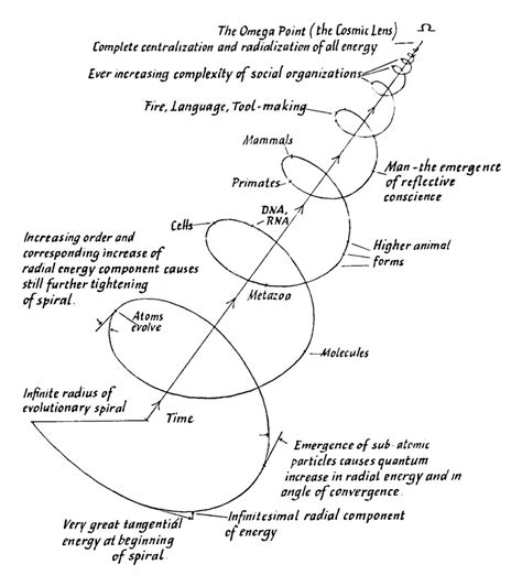 ️ Charts And Diagrams ️ — Arena