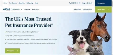 7 Best Dog Insurance In The Uk For 2023