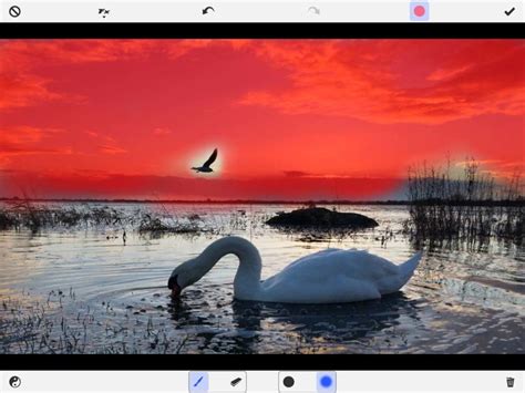 A Step-By-Step Guide To Editing iPhone Photos With Apps