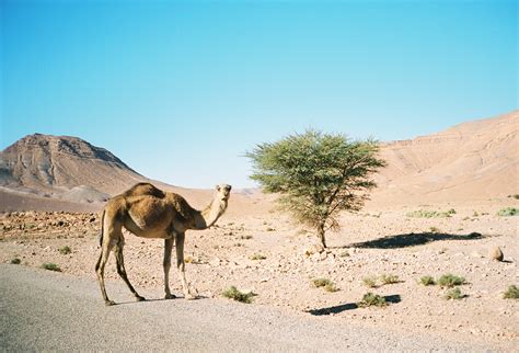 Finding Ourselves in the Atlas Mountains – Stefan Haehnel & Jon