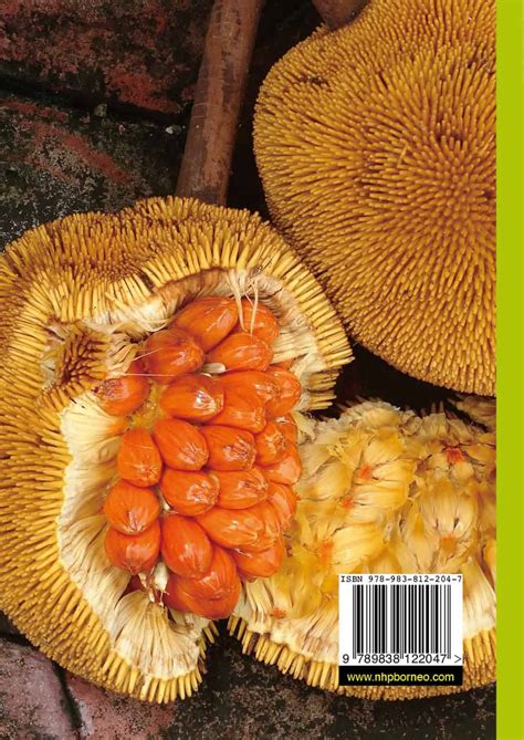 A Guide To Market Fruits Of Borneo Natural History Publications Borneo