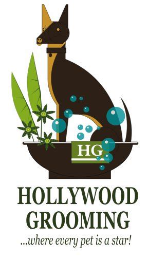 Hollywood Mobile Grooming Brentwood Is Dog Friendly