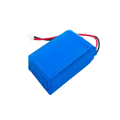 12V 1200mAh Lithium Polymer Battery Packs - Lithium ion Battery ...