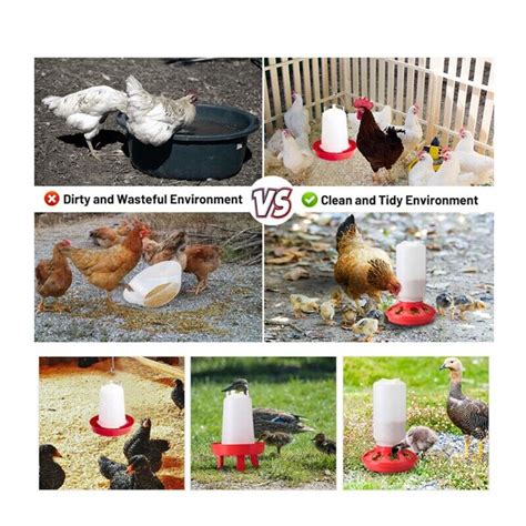 Kit de Mangeoire et Abreuvoir pour Poussins à Remplissage Supérieur