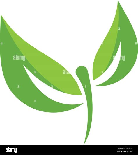 Logos Of Green Leaf Ecology Nature Element Vector Icon Stock Vector Image And Art Alamy