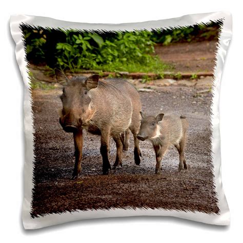 Warthog And Babies Chobe Safari Lodge Kasane Botswana Africa X