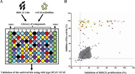 High Throughput Screening And Identification Of Potent Broad Spectrum