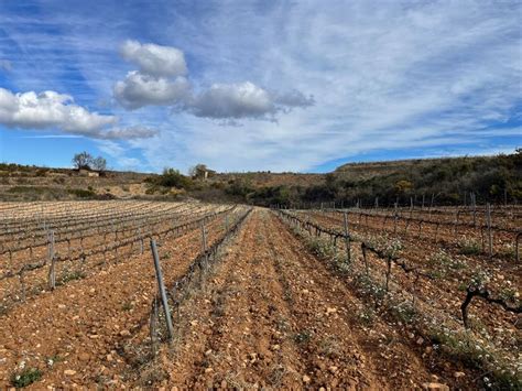 Vinya Outdoor Photography Farmland