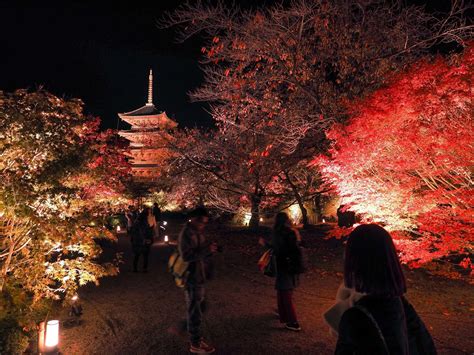 toji temple   access hours price good luck trip