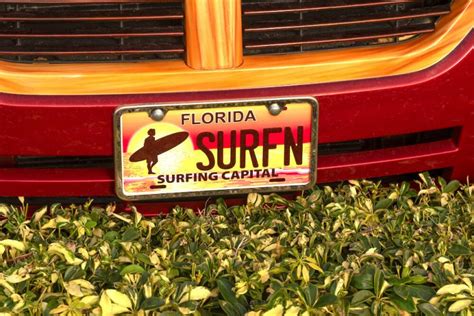 Specialty And Or Personalized Florida License Plate No Tag Renewal Etags Vehicle