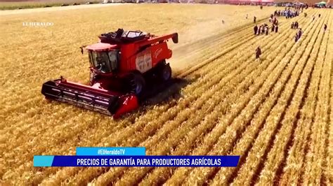 Programa De Precios De Garantía Genera Certidumbre A Productores