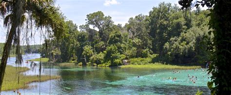 Springs of Rainbow Springs | Florida State Parks