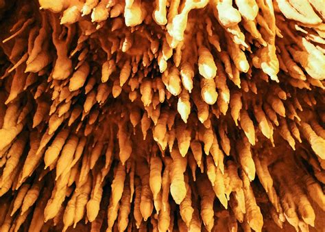 Пещера дракона, Касторья :: экскурсии в Греции, гид