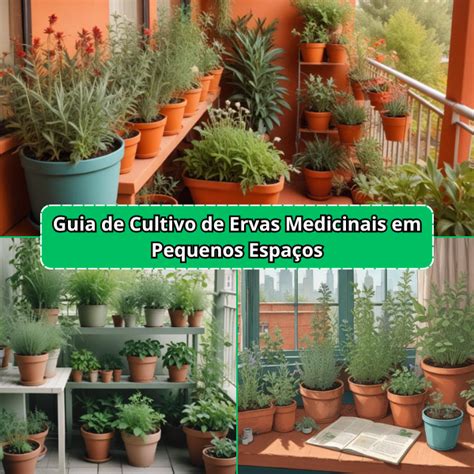 Guia de Cultivo de Ervas Medicinais em Pequenos Espaços Edfvida