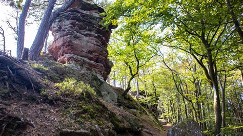 Hochstein Dahner Burgen R Merfelsen Und Jungfernsprung Rundwanderung