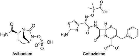 [presentation] Pharmacological Aspects And Spectrum Of Action Of Ceftazidime Avibactam A