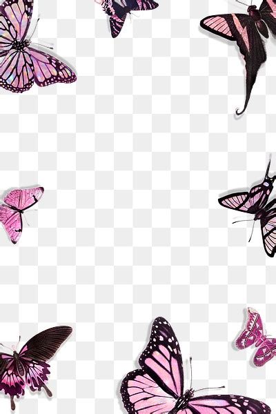 Pink Holographic And Glittery Butterfly Free Png Rawpixel