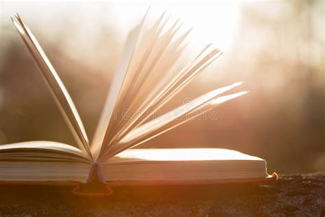 Education Concept Open Book Under Sunset Sunlight Stock Image Image