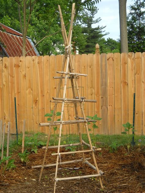 A Divas Garden Building A Teepee Trellis For Kids