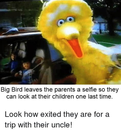 Big Bird Meme 1845