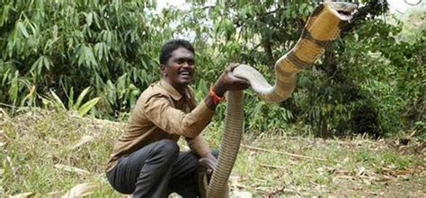 Snake Rescuer Vava Suresh Bitten By Cobra Hospitalised