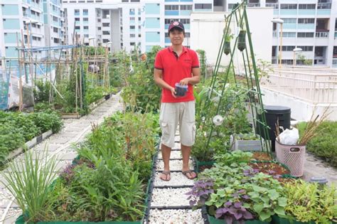 Rooftop Gardens In Singapore | Fasci Garden