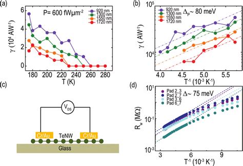 Temperature Dependence Of The Photoresponse Of The Binary Hybrid And